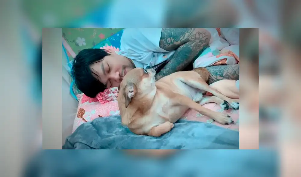 Video es viral en YouTube. Mujer grabó el agresivo comportamiento del perro cada vez que su esposo intentaba tocarla mientras dormía con los dos Video es viral en YouTube. Mujer grabó el agresivo comportamiento del perro cada vez que su esposo intentaba tocarla mientras dormía con los dos