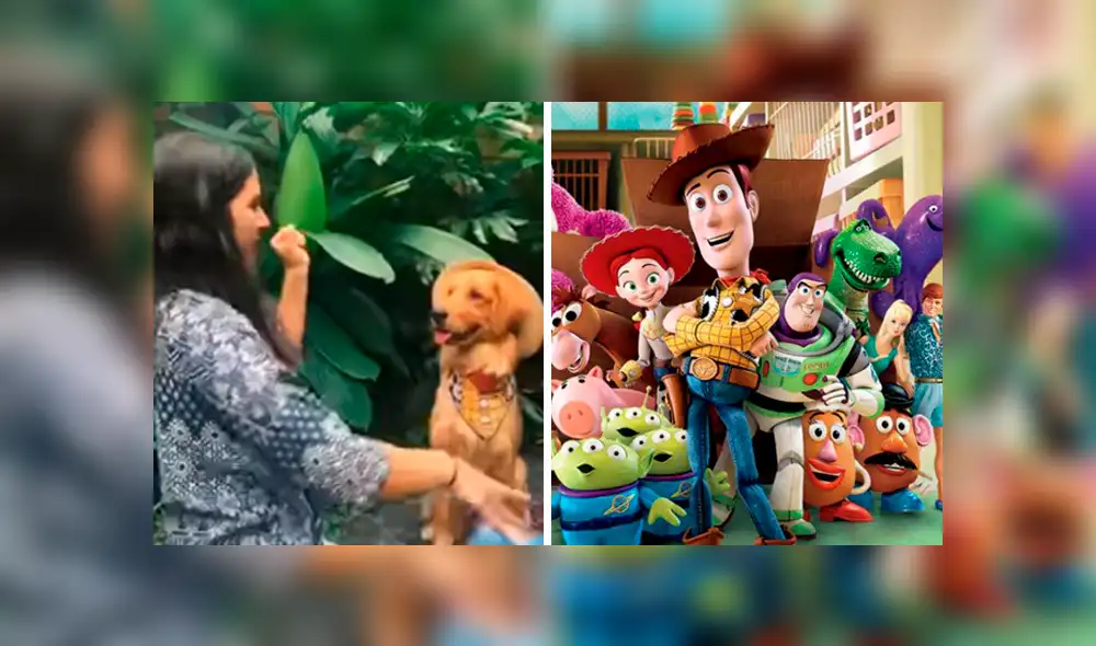 Desliza las imágenes para apreciar la divertida actuación de una joven acompañada de su mascota. Desliza las imágenes para apreciar la divertida actuación de una joven acompañada de su mascota.