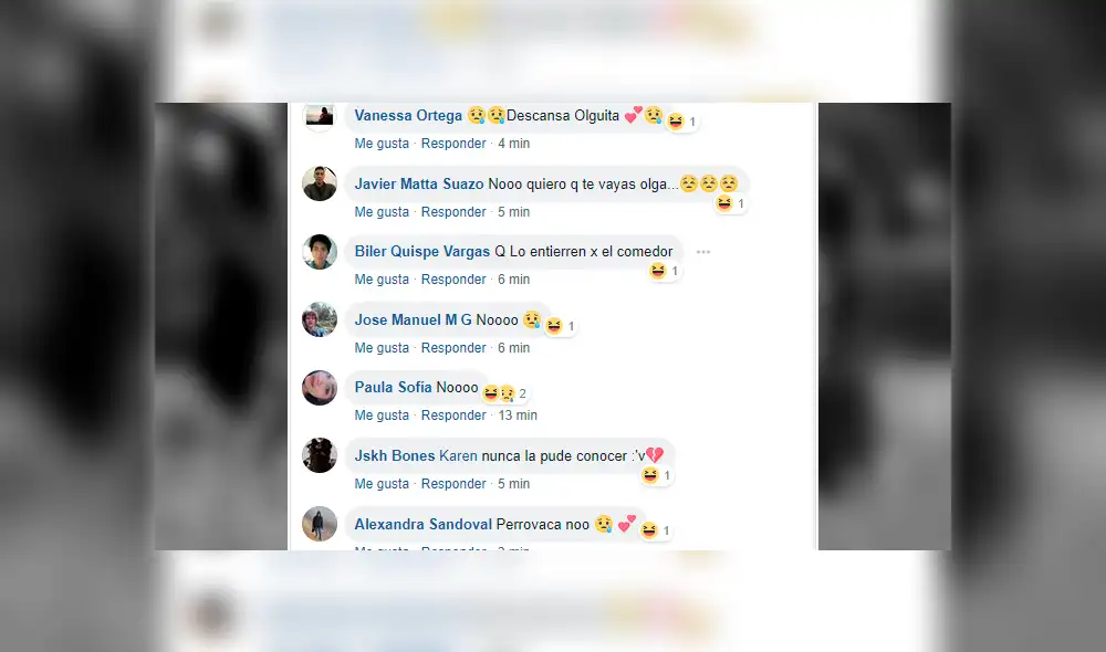 Facebook viral: sanmarquinos lloran muerte de ‘Perrovaca’ y le dedican emotivas palabras [FOTOS]