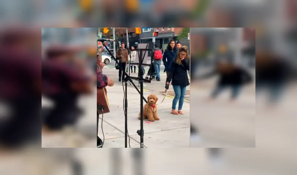 Vía YouTube. El cachorro detuvo el paseo con su dueña en plena avenida y su adorable conducta ante show de artista callejero conmovió a todos
