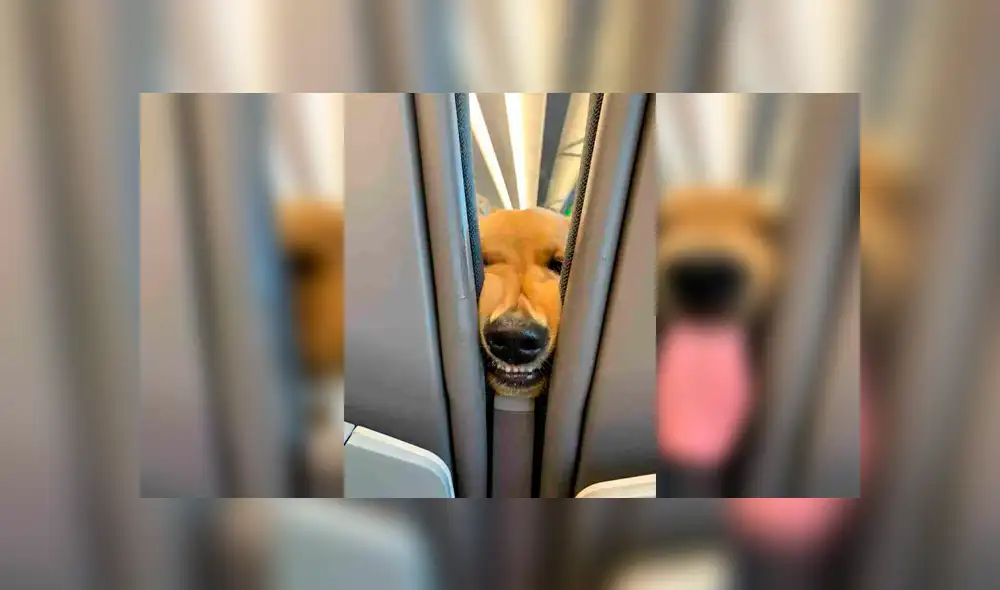 Desliza para ver los detalles de esta historia viral de Facebook. Foto: Captura. Desliza para ver los detalles de esta historia viral de Facebook. Foto: Captura.