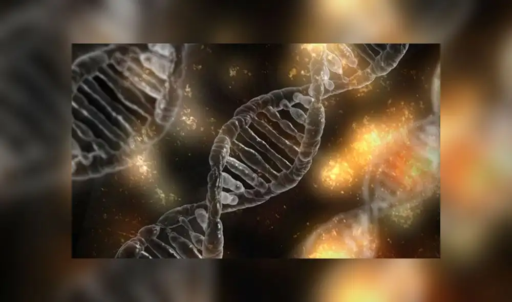 Para Jorge Dotto la genética es fundamental en la lucha contra el coronavirus. Imagen: Pixabay Para Jorge Dotto la genética es fundamental en la lucha contra el coronavirus. Imagen: Pixabay