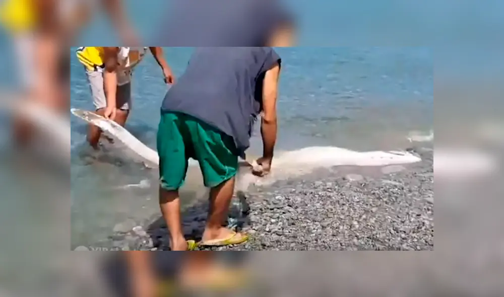 Desliza para ver los detalles del video viral de YouTube. Foto: Captura.