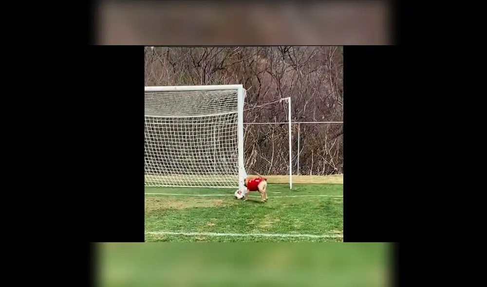 'Tunita' tuvo su primer entrenamiento y los goles no se hicieron esperar. (Foto: Twitter Atlético San Luis) 'Tunita' tuvo su primer entrenamiento y los goles no se hicieron esperar. (Foto: Twitter Atlético San Luis)