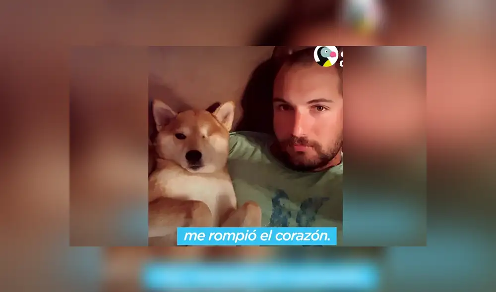 La perrita quedó ciega por un glaucoma en los ojos y su dueño la ayudó a recuperar su confianza para excurisonar. Foto El Dodo / Facebook La perrita quedó ciega por un glaucoma en los ojos y su dueño la ayudó a recuperar su confianza para excurisonar. Foto El Dodo / Facebook