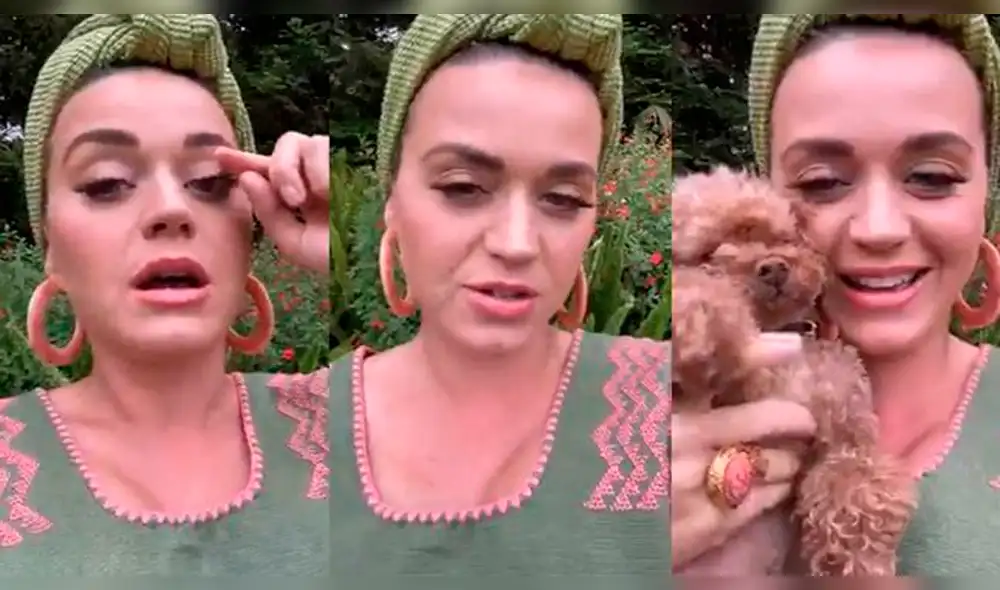 Katy Perry comparte el ultrasonido de su bebé en Instagram