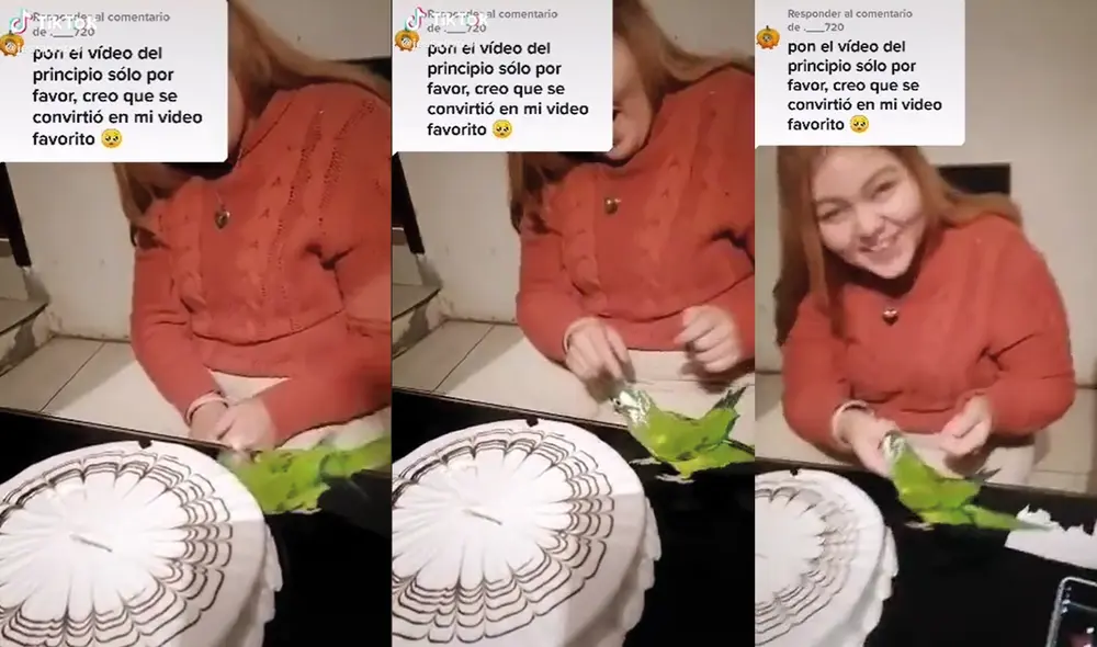 El nombre del encantador perico es Pepe. Foto: captura de TikTok
