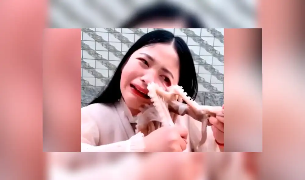 YouTube viral: chica pretendió comer un pulpo vivo y este la ataca de la peor forma [VIDEO]