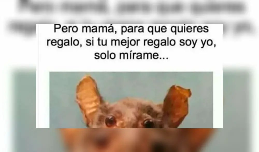 Memes de redes sociales también conmemoran el Día de la Madre 2020