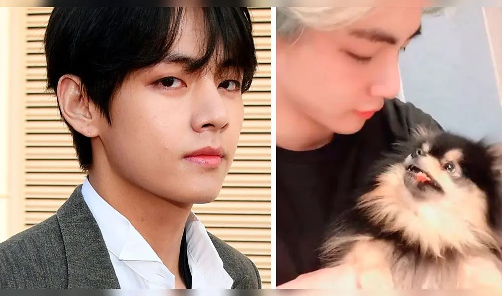 V de la banda de K-Pop BTS, consultó al entrenador de perros Kang Hyung Wook antes de adoptar a su mascota "Yeontan".