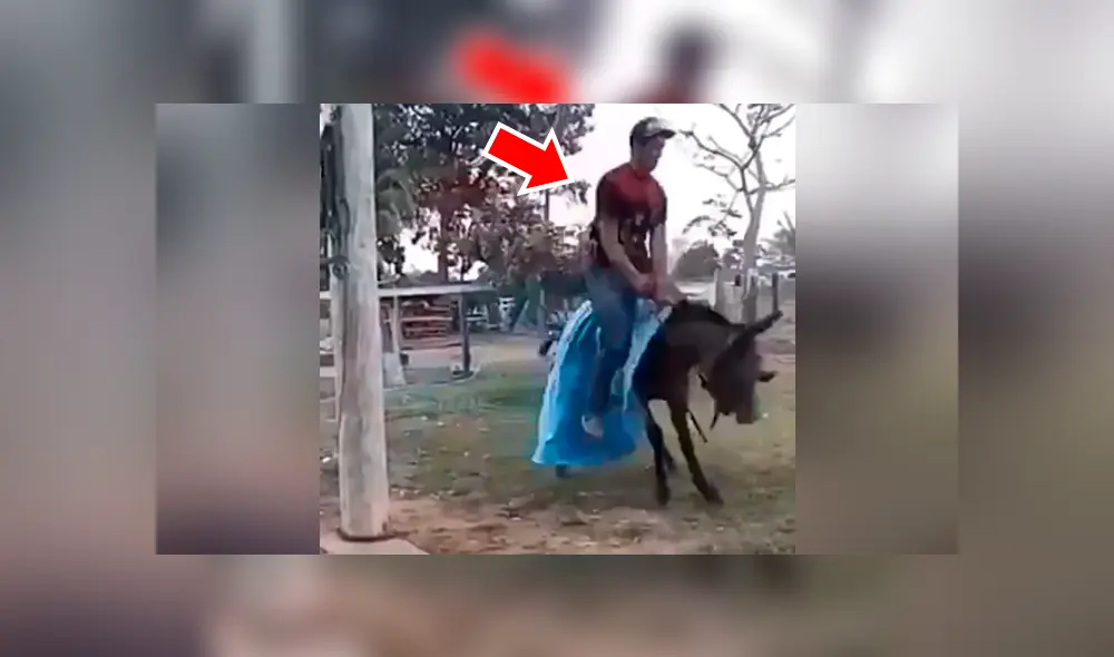 Facebook viral: chico confunde mula salvaje con caballo, se monta y pasa vergüenza [VIDEO] 