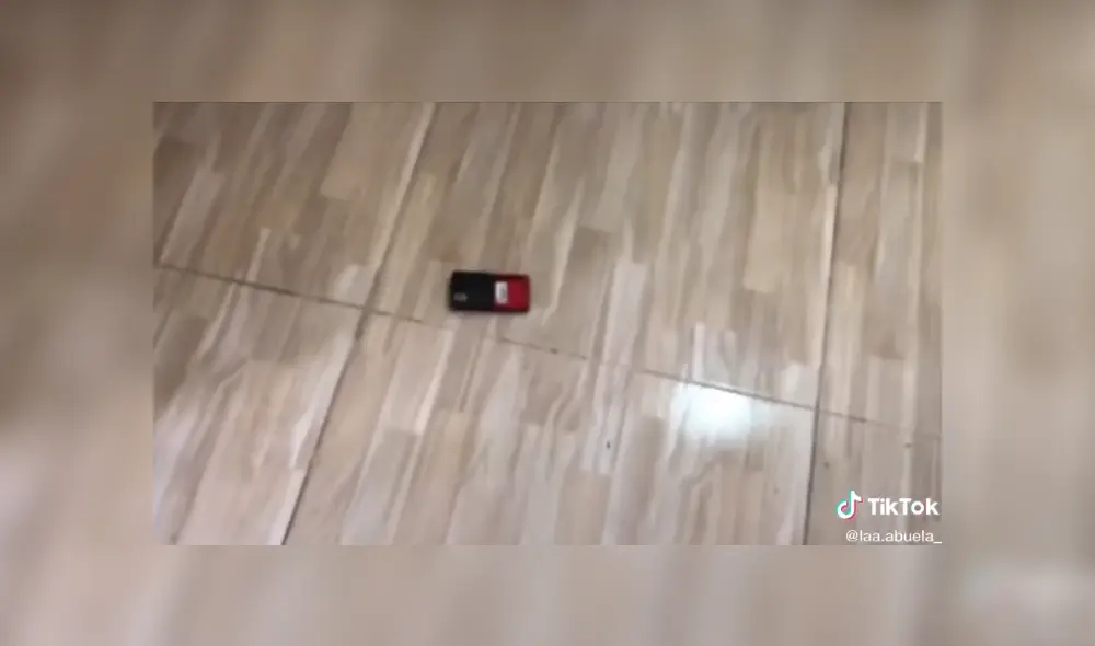 Desliza para ver los detalles del video viral publicado en YouTube. Foto: Captura. Desliza para ver los detalles del video viral publicado en YouTube. Foto: Captura.