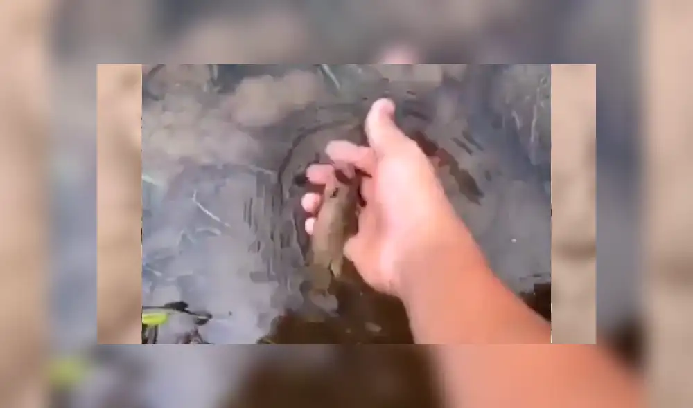 Facebook viral: Poblador encuentra pez 'moribundo' en la tierra, lo agarra y sucede lo impensado [VIDEO]