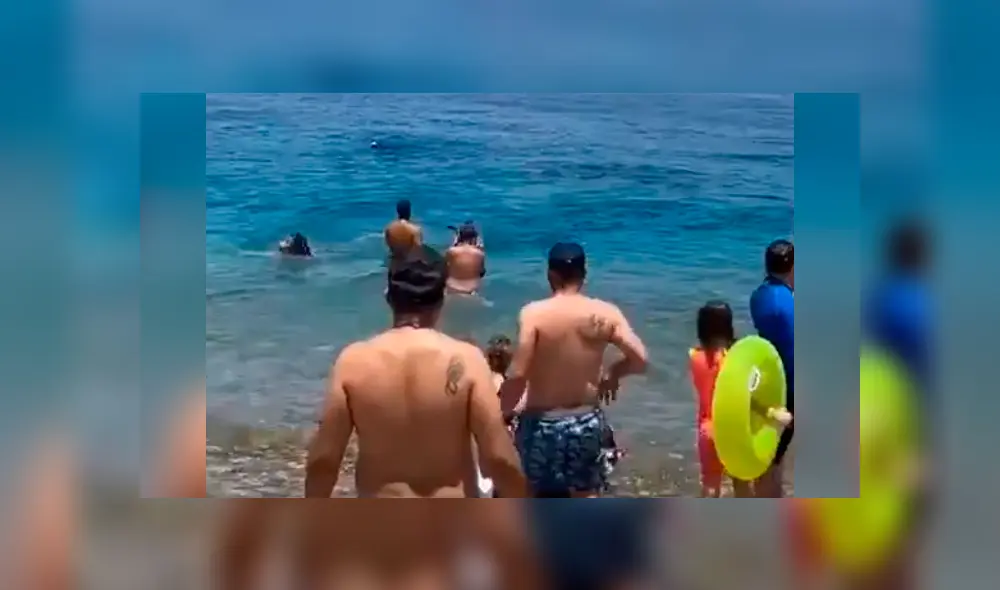 Desliza la imagen compartida en YouTube para verlas todas. Foto: @simonarann/Twitter