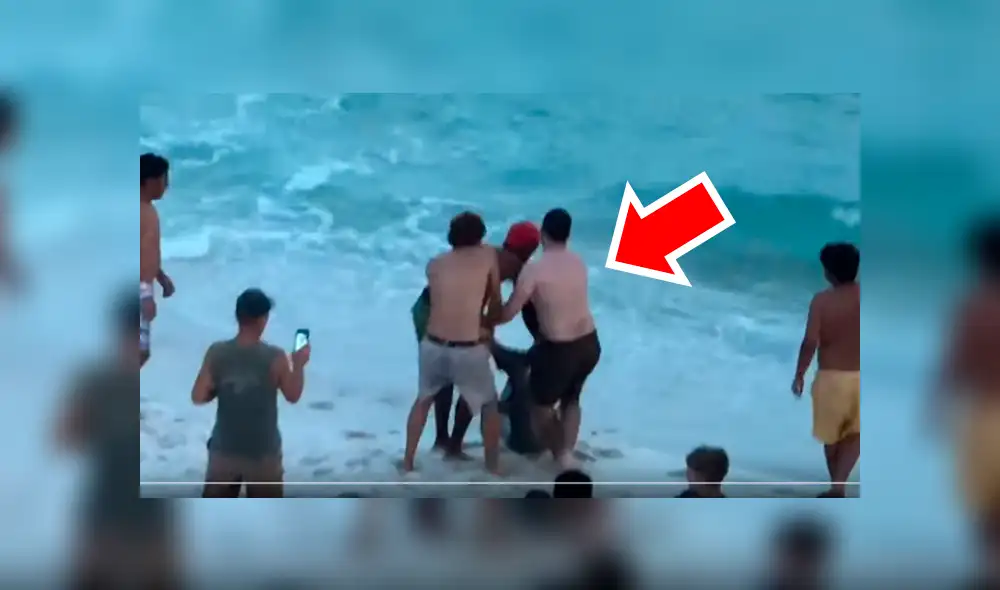 YouTube viral: tiburón martillo fue ayudado por bañistas que lo regresaron al mar [VIDEO]