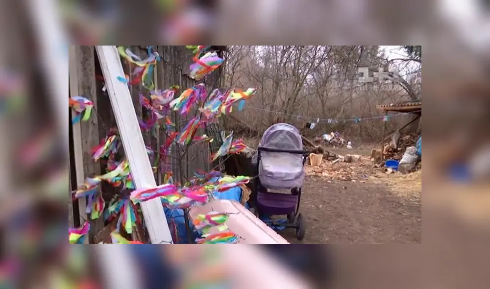 Gato mató a bebé mientras dormía en su coche: se echó en su cara y la asfixió Gato mató a bebé mientras dormía en su coche: se echó en su cara y la asfixió