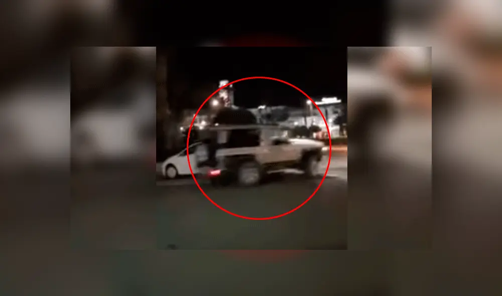 Graban cómo un hombre atropella brutalmente a jabalíes y se da a la fuga [VIDEO]