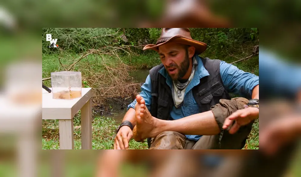 Un video muestra al popular 'Coyote' Peterson siendo mordido por una chinche de agua gigante. Un video muestra al popular 'Coyote' Peterson siendo mordido por una chinche de agua gigante.