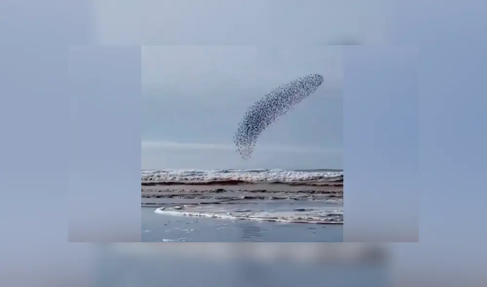 YouTube viral: capta extraña ‘mancha’ que se mueve en el cielo, hace zoom y descubre algo maravilloso [VIDEO]