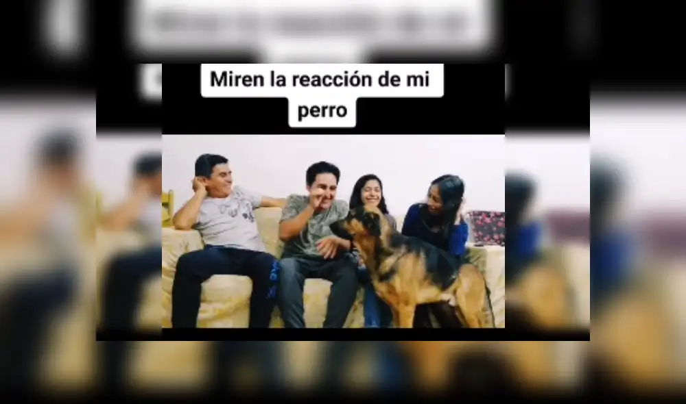 Desliza las imágenes para ver más detalles de esta cómica escena que se hizo viral en Facebook.