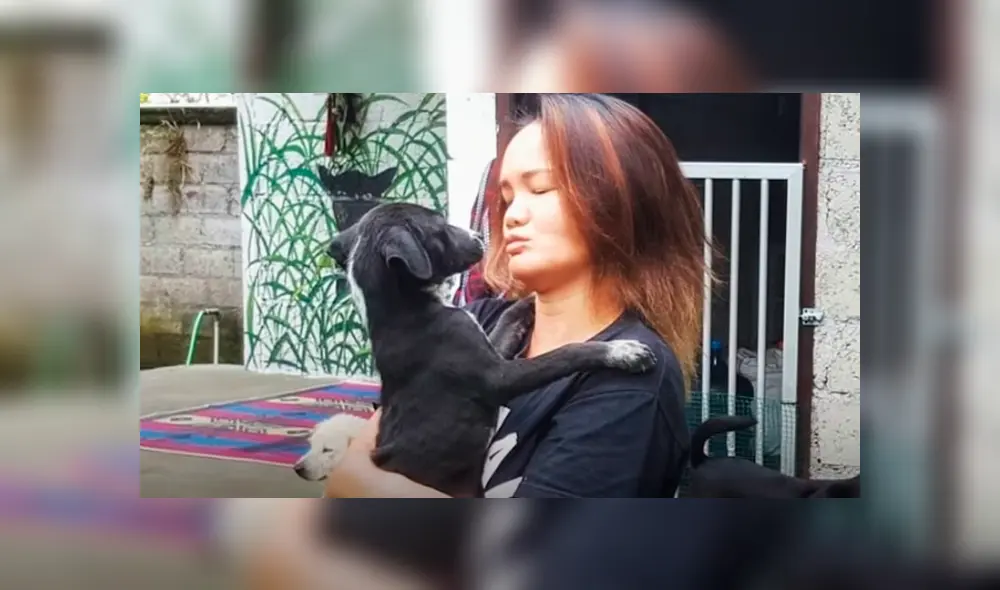 Desliza hacia la izquierda para ver cómo luce el perro que se volvió viral en Facebook. Desliza hacia la izquierda para ver cómo luce el perro que se volvió viral en Facebook.