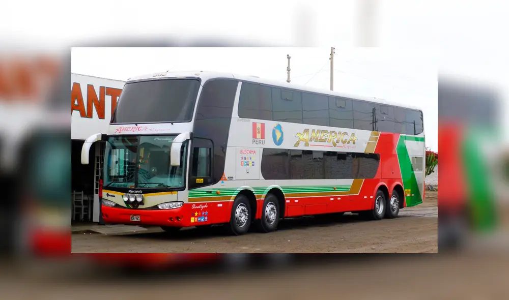 Plagado de pulgas y chinches: pasajeros denuncian insalubre estado de bus interprovincial