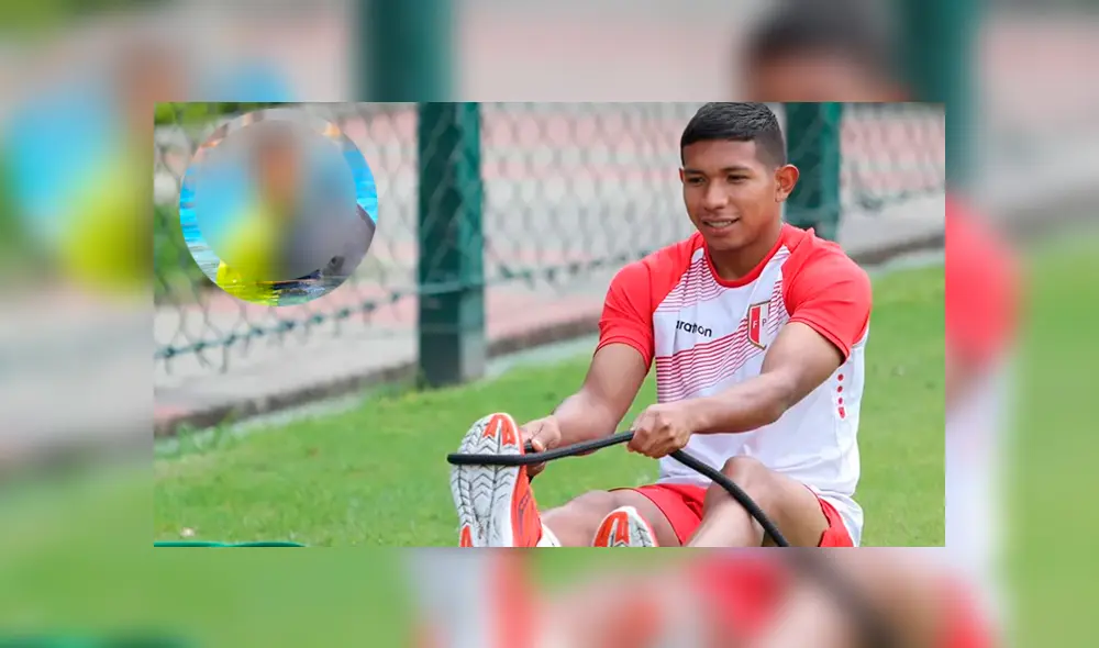 Oreja Flores Oreja Flores