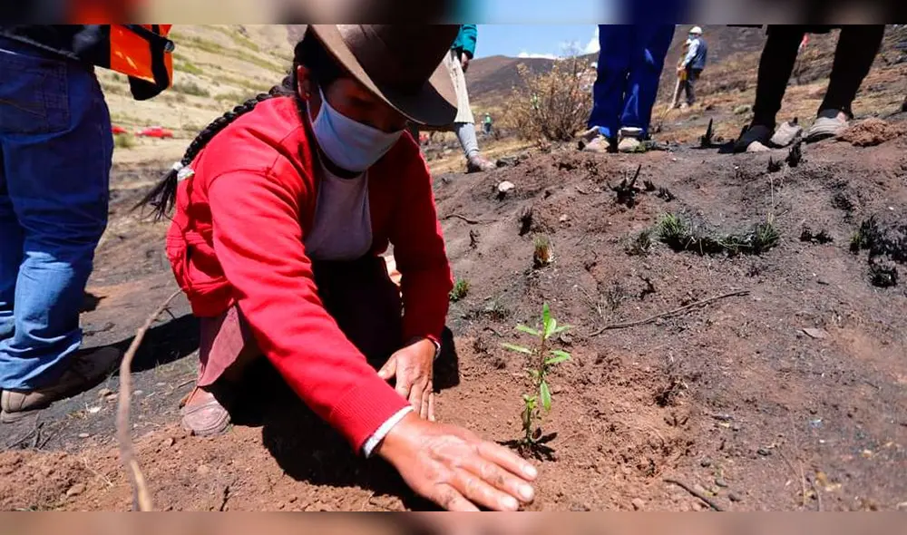 Dantesco incendio afectó extensas hectáreas. Foto: Municipalidad de Cusco