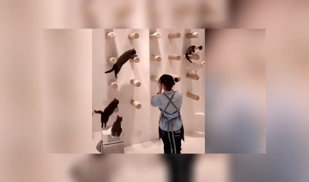 Desliza para ver todas las imágenes de Facebook. Desliza para ver todas las imágenes de Facebook.