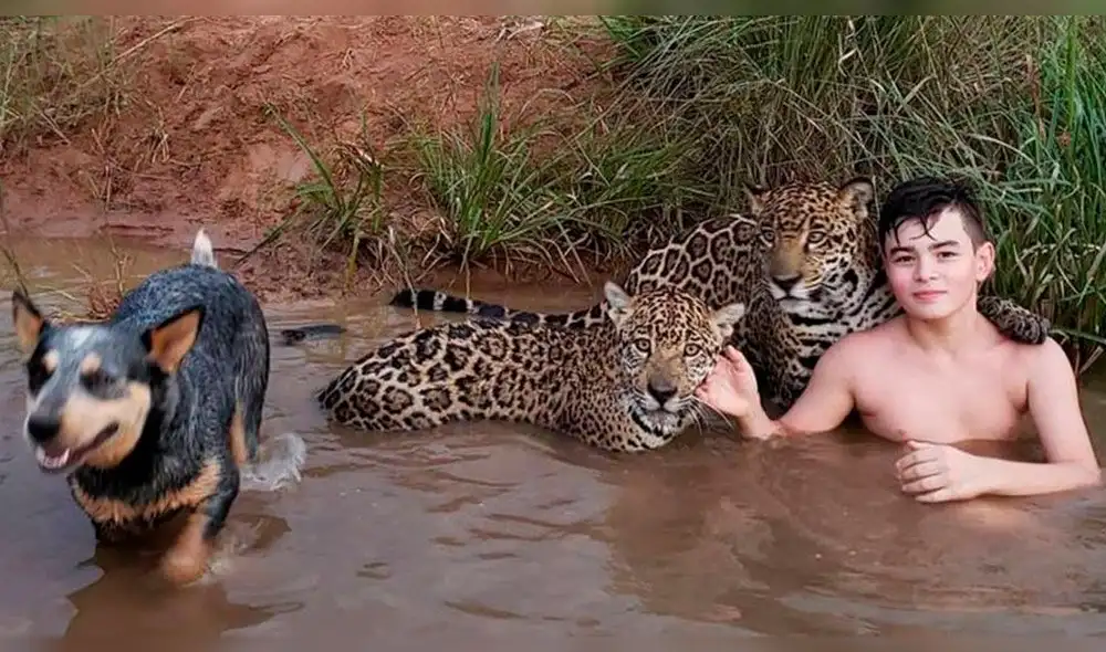 La real historia detrás de la fotografía de un niño que juega con jaguares La real historia detrás de la fotografía de un niño que juega con jaguares