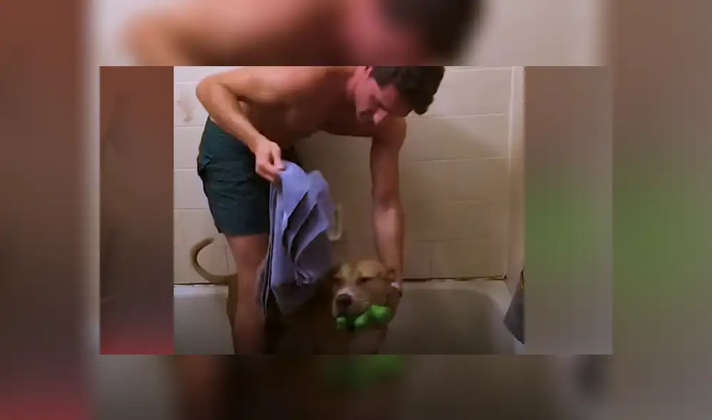 Desliza hacia la izquierda para ver las imágenes del viral de Facebook. Desliza hacia la izquierda para ver las imágenes del viral de Facebook.