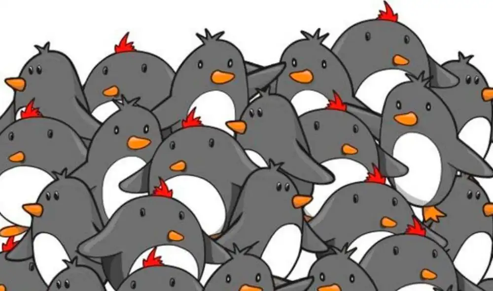 Desliza las imágenes hacia la izquierda para saber la respuesta correcta de este reciente ‘challenge’ de Facebook. Foto: Napsix.