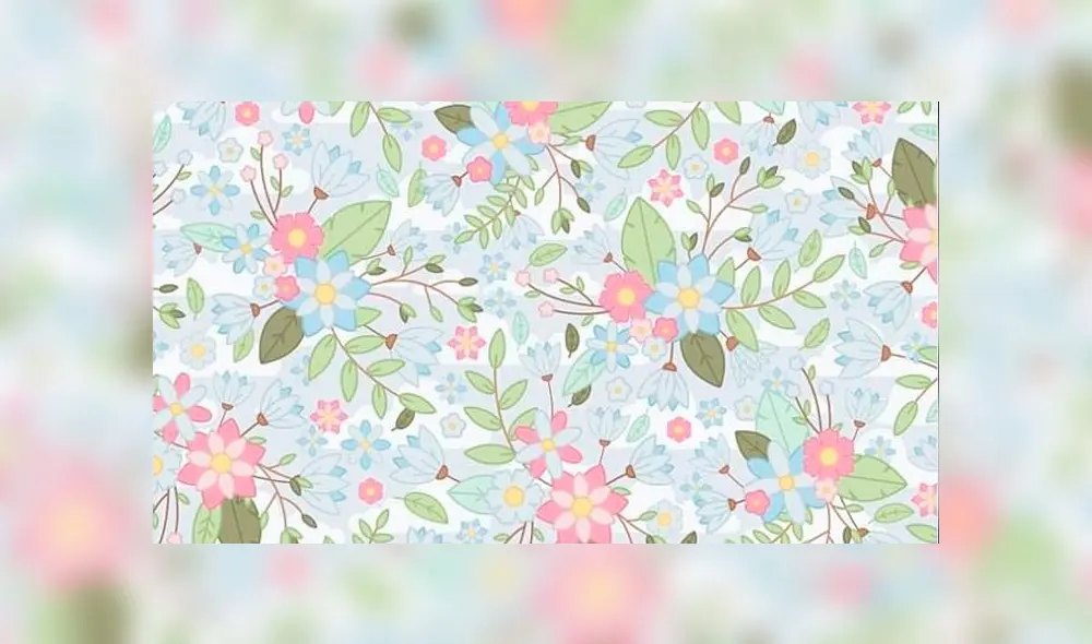 Desliza las imágenes para conocer la respuesta de este complejo reto visual. Foto: Facebook/difusión Desliza las imágenes para conocer la respuesta de este complejo reto visual. Foto: Facebook/difusión