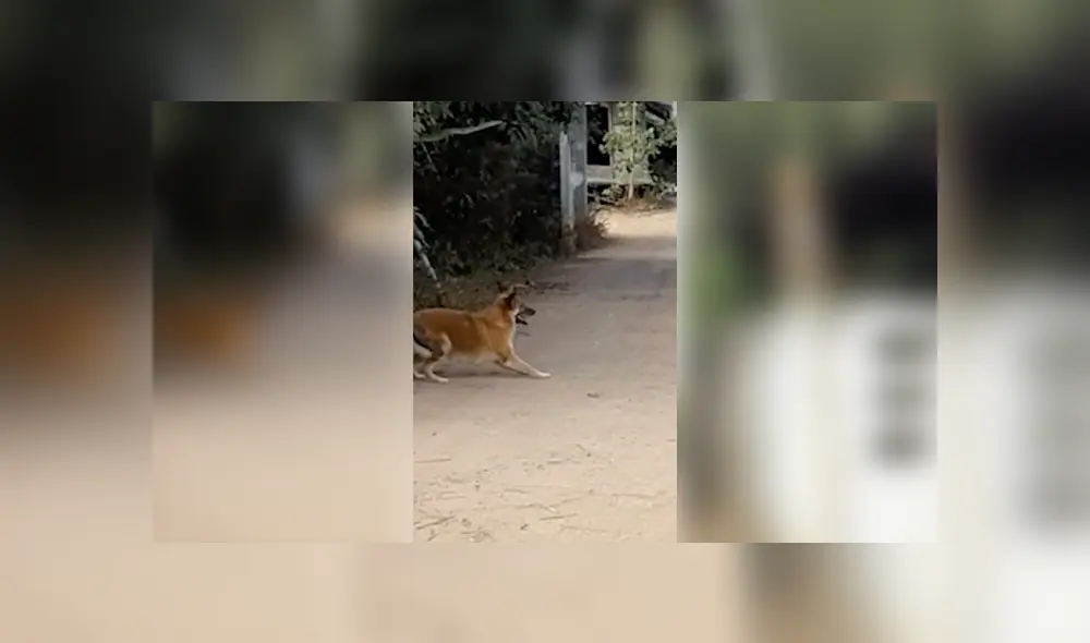 Desliza para ver los detalles del video viral publicado en YouTube. Foto: Captura. Desliza para ver los detalles del video viral publicado en YouTube. Foto: Captura.