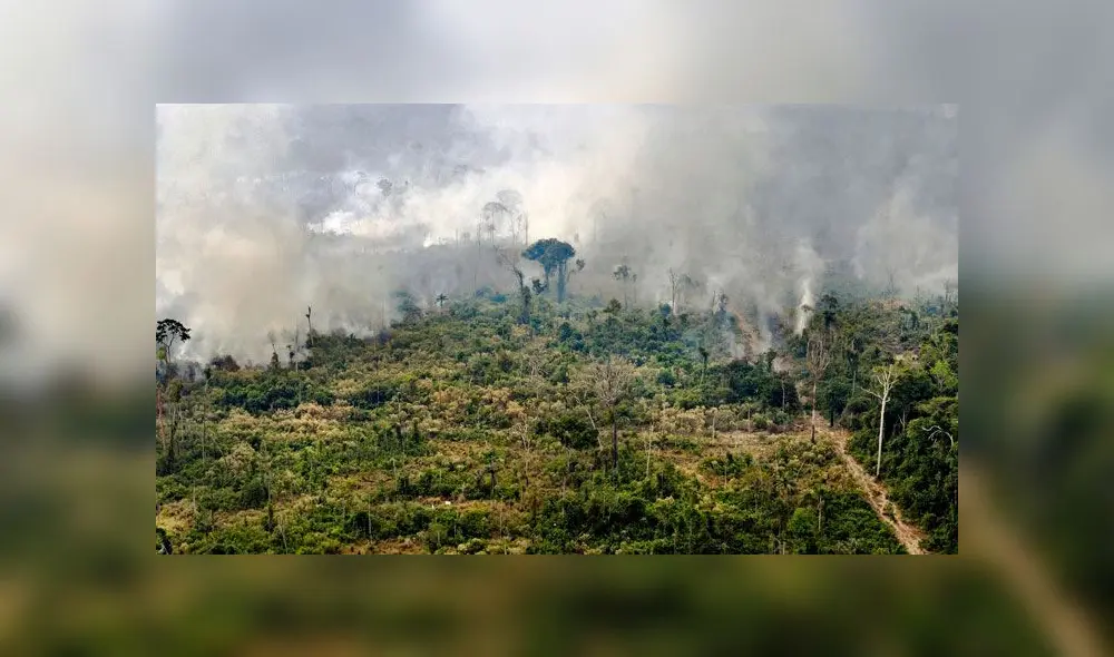 Incendio en la Amazonía Incendio en la Amazonía