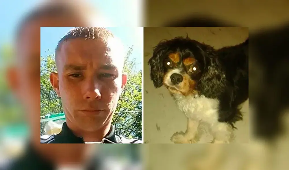 El perro, llamado Alfie, estuvo perdido y el hombre lo encontró. El perro, llamado Alfie, estuvo perdido y el hombre lo encontró.