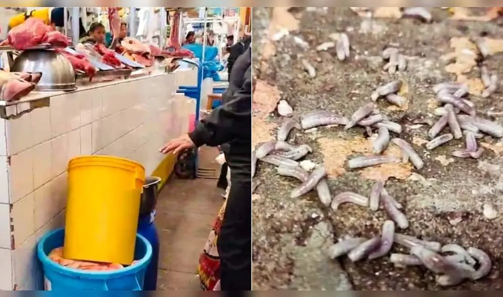 Comerciante será sancionada por el estado en que mantenía su producto. Foto: Difusión Comerciante será sancionada por el estado en que mantenía su producto. Foto: Difusión