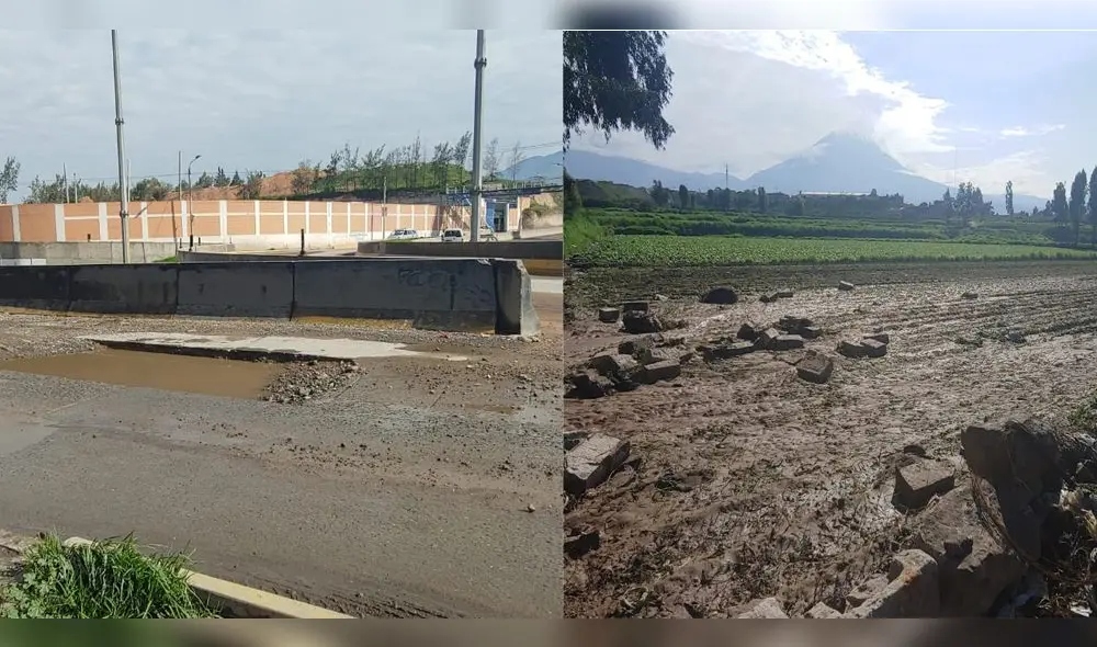 Siete viviendas se inundaron y dos hectáreas de cultivo resultaron dañadas.