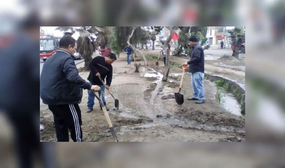 Limpieza y riego de áreas verdes.