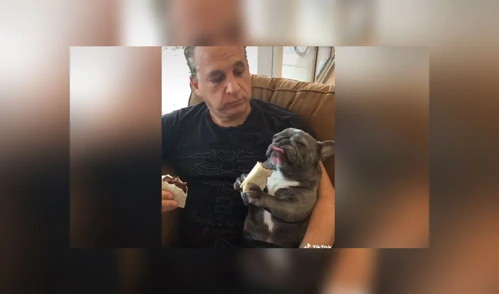 Desliza las imágenes para ver la divertida escena que logró registrar una joven mujer entre su padre y su nueva mascota. Foto: Bluenjy/TikTok