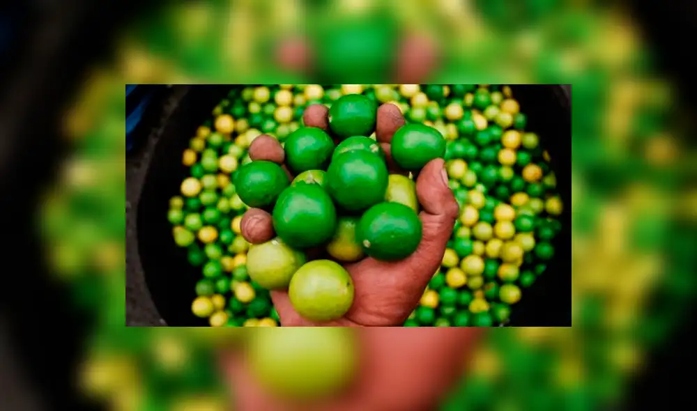 Precios del limón y agua dispararon la inflación: 0,67%