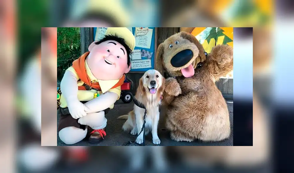 Facebook: perro tiene conmovedora reacción al conocer a su personaje favorito de Up