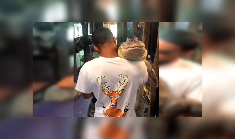 En YouTube, un joven no tuvo temor en cargar un enorme cocodrilo y para su buena suerte no sufrió un ataque.