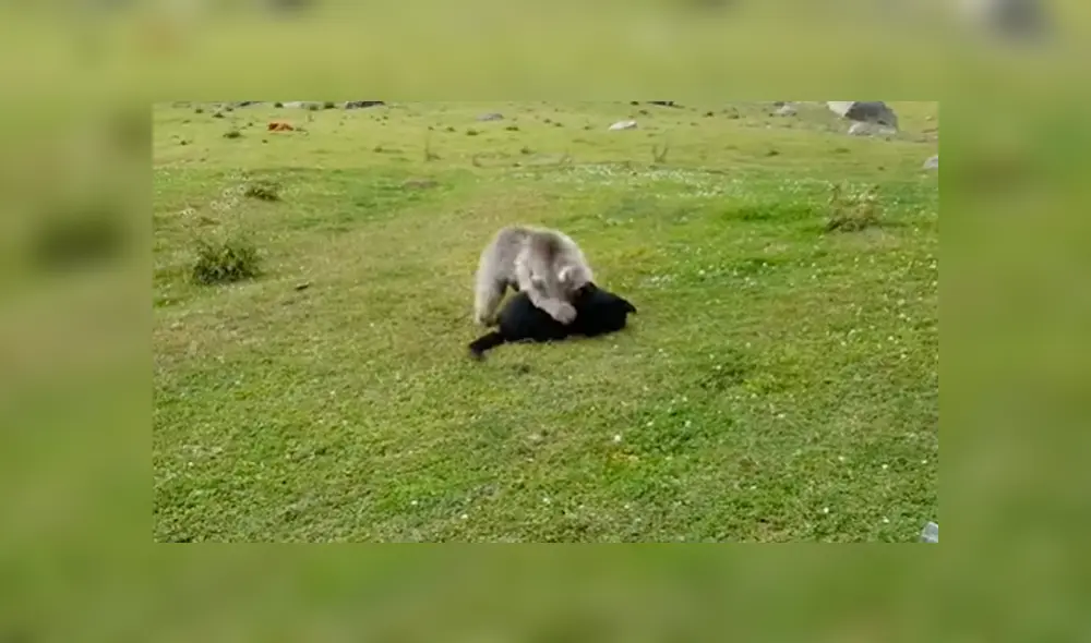 Desliza para ver los momentos más emotivos del video que se hizo viral en YouTube. Desliza para ver los momentos más emotivos del video que se hizo viral en YouTube.