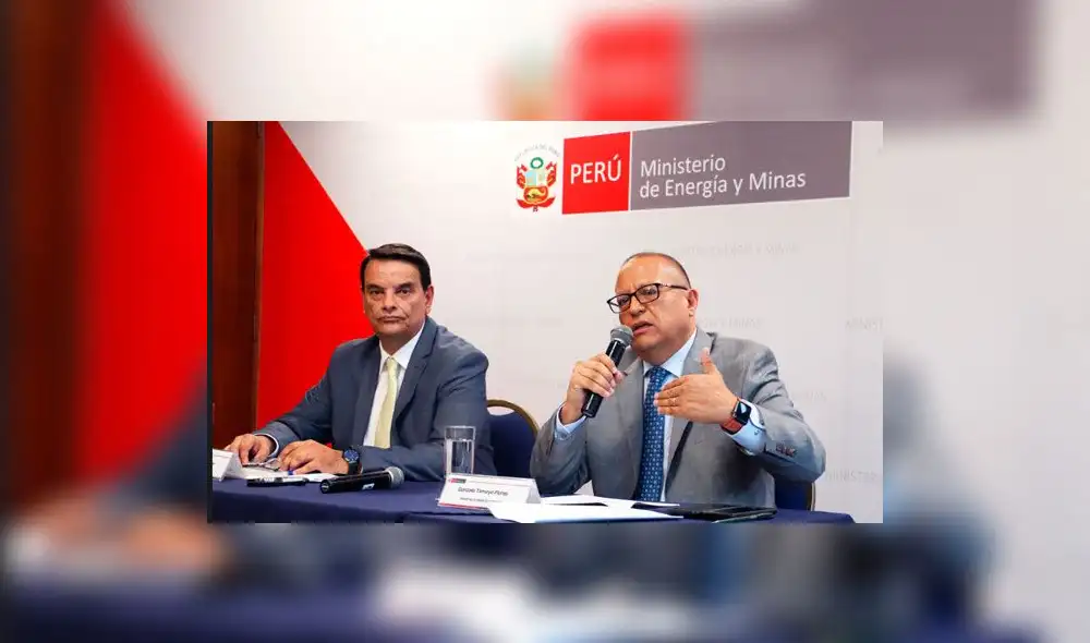 Ejecutivo anuncia retiro de concesión de Gasoducto Sur