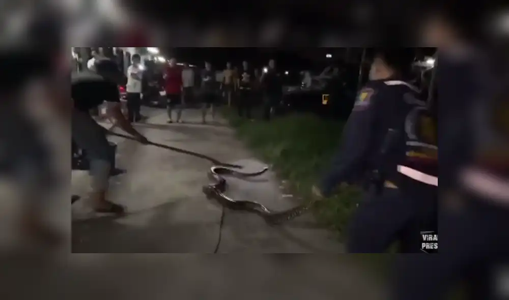 Desliza hacia la izquierda para ver las imágenes del viral de YouTube. Foto: Captura. Desliza hacia la izquierda para ver las imágenes del viral de YouTube. Foto: Captura.