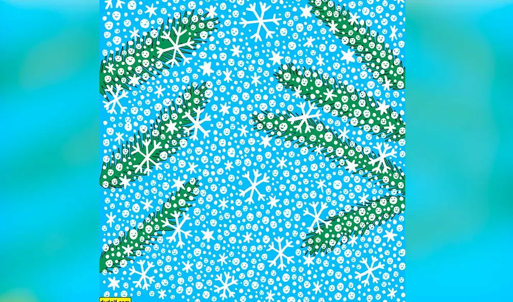 Desliza las imágenes para ver la solución de este complicado reto visual. Foto: captura de Facebook/Dudolf.com