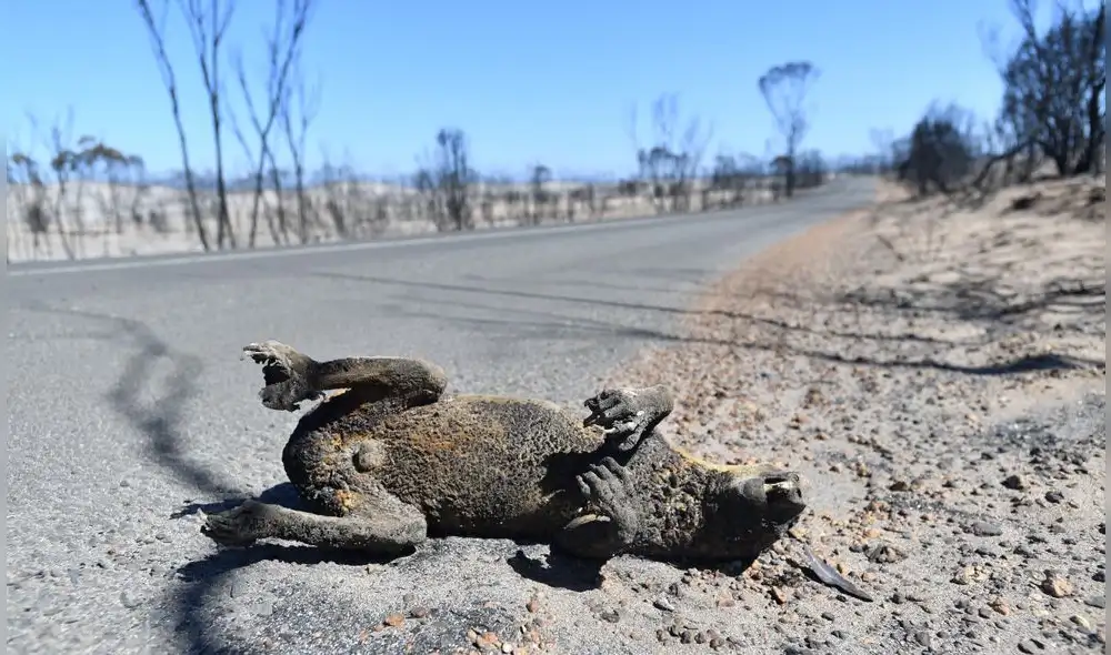 Los humos emitidos se detectaron hasta Argentina y Brasil, a más de 12.000 km del otro lado del Pacífico, según las agencias meteorológicas de estos países. Foto: AFP. Los humos emitidos se detectaron hasta Argentina y Brasil, a más de 12.000 km del otro lado del Pacífico, según las agencias meteorológicas de estos países. Foto: AFP.