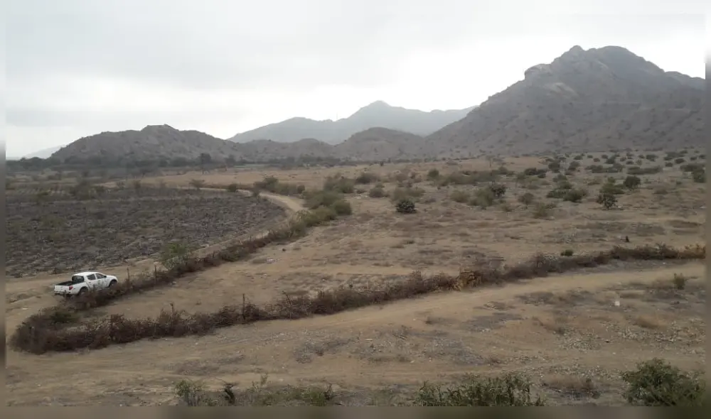 La Montería se edificaría en espacios protegidos por el Estado por la presencia de fauna y flora en peligro. Foto: La República La Montería se edificaría en espacios protegidos por el Estado por la presencia de fauna y flora en peligro. Foto: La República