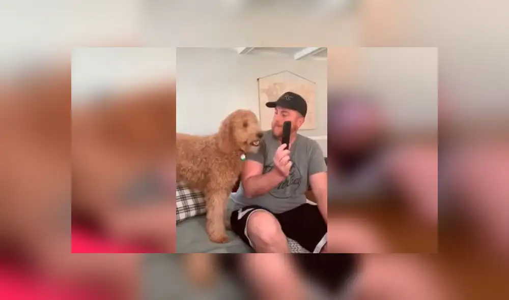 Desliza las imágenes para ver la emotiva reacción que tuvo un perro al escuchar la voz de sus dueños quienes fueron puestos en cuarentena. Foto: RM Videos Desliza las imágenes para ver la emotiva reacción que tuvo un perro al escuchar la voz de sus dueños quienes fueron puestos en cuarentena. Foto: RM Videos